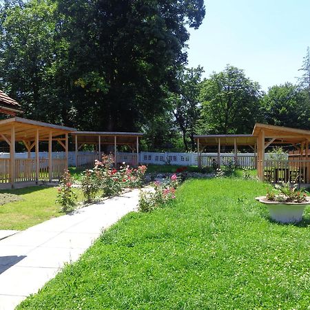 Pensiunea Radu Cisnădie Zimmer foto